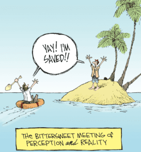 Cartoon of perception vs reality